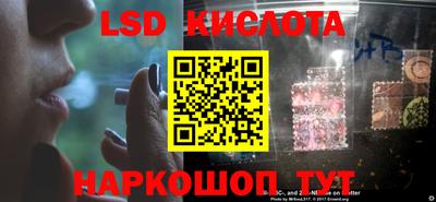 spice Бердск