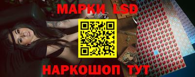 spice Бердск
