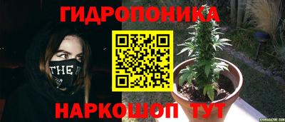мяу мяу кристалл Ачхой-Мартан