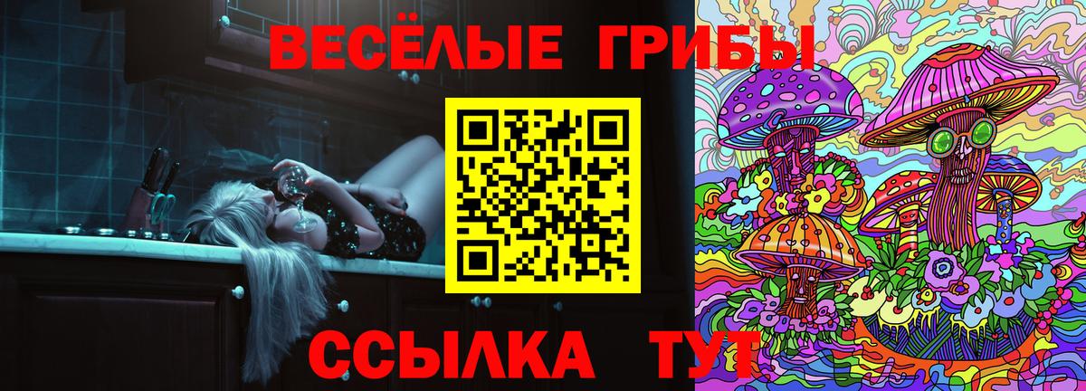 Галлюциногенные грибы мицелий  Вход с VPN  Щёлково  Галлюциногенные грибы прущие грибы 